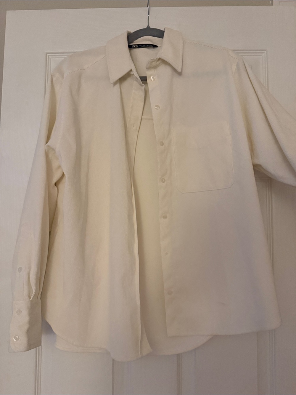 Button Down Shirt